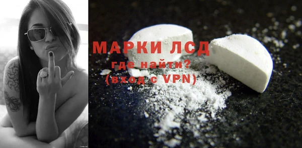 сатива Абинск